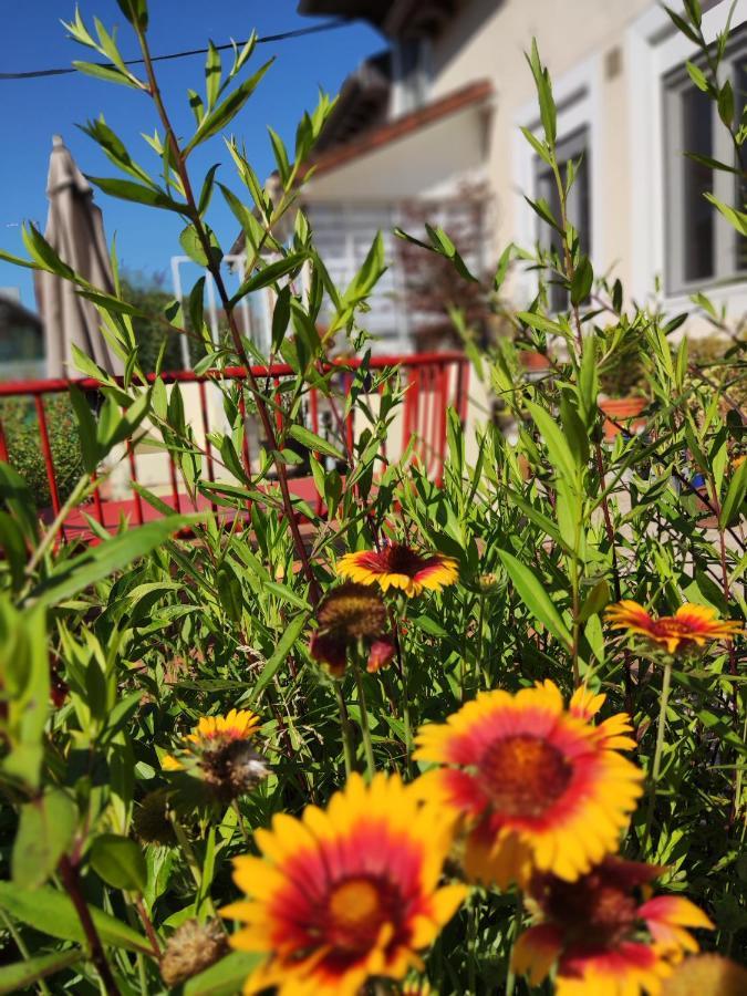 Campagn'Arts Bed & Breakfast Villechétif Екстериор снимка